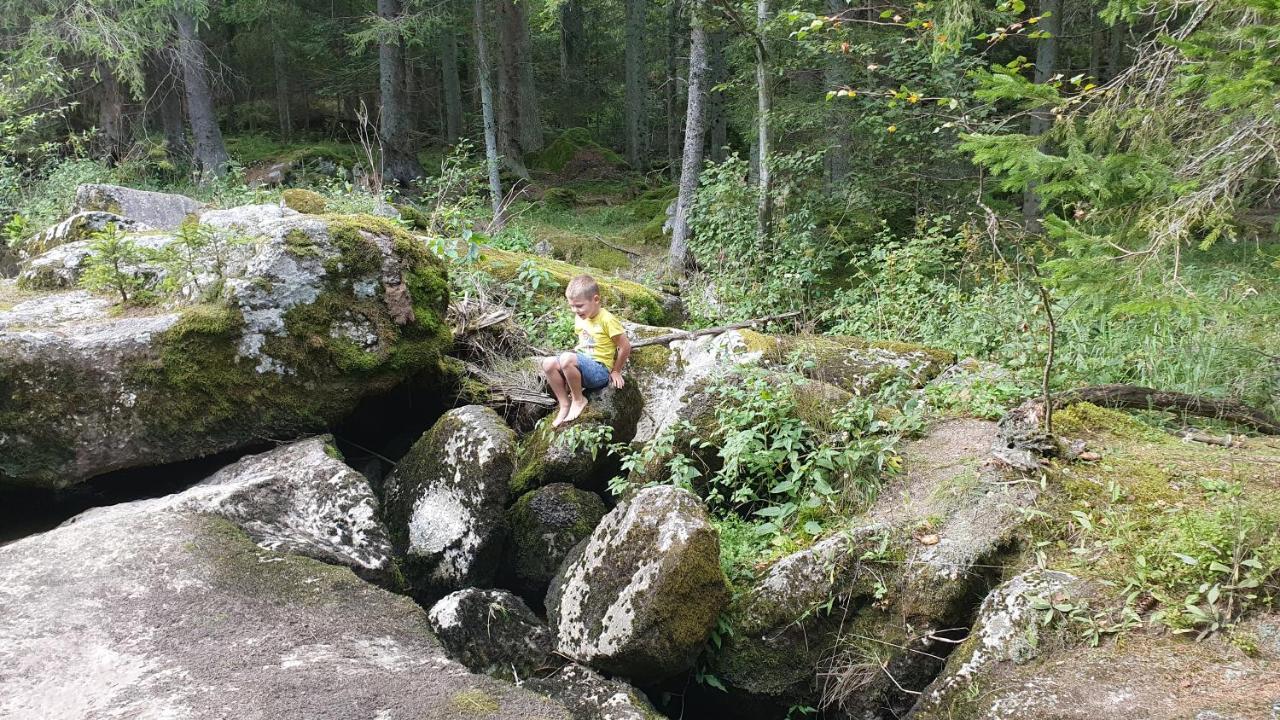 Ferienhaus Buxbaum Arbesbach Екстериор снимка