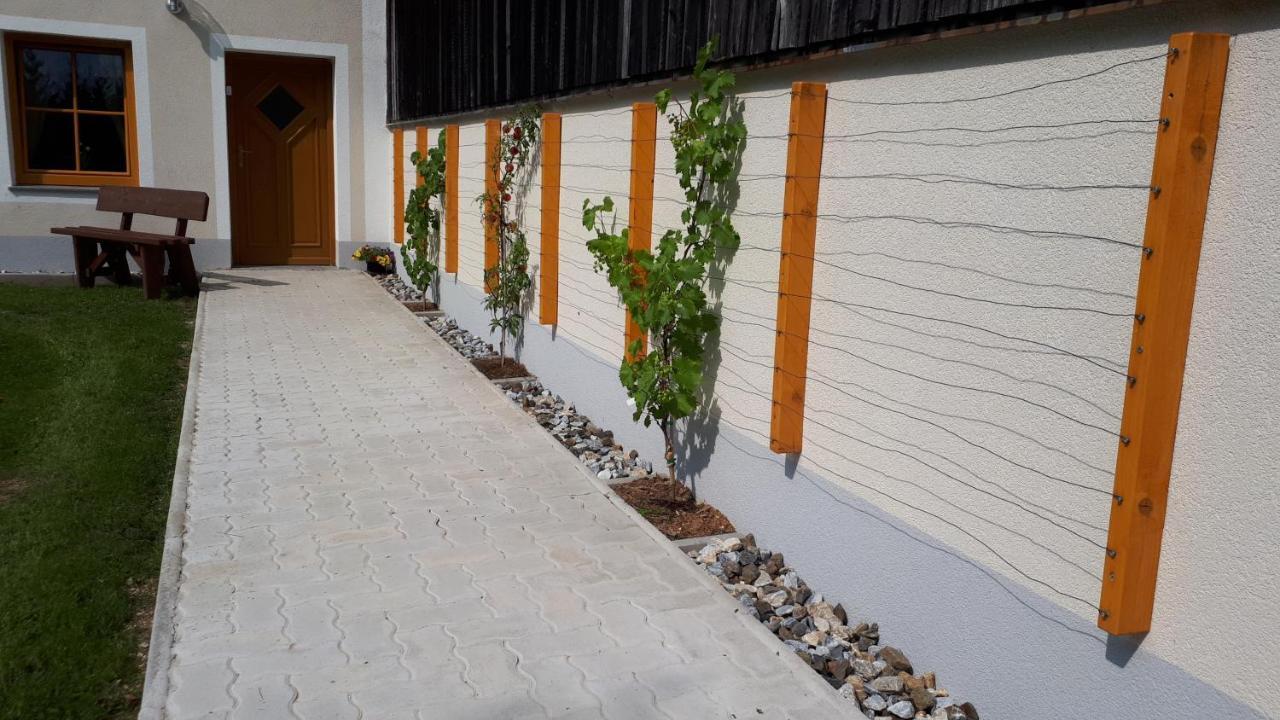 Ferienhaus Buxbaum Arbesbach Екстериор снимка