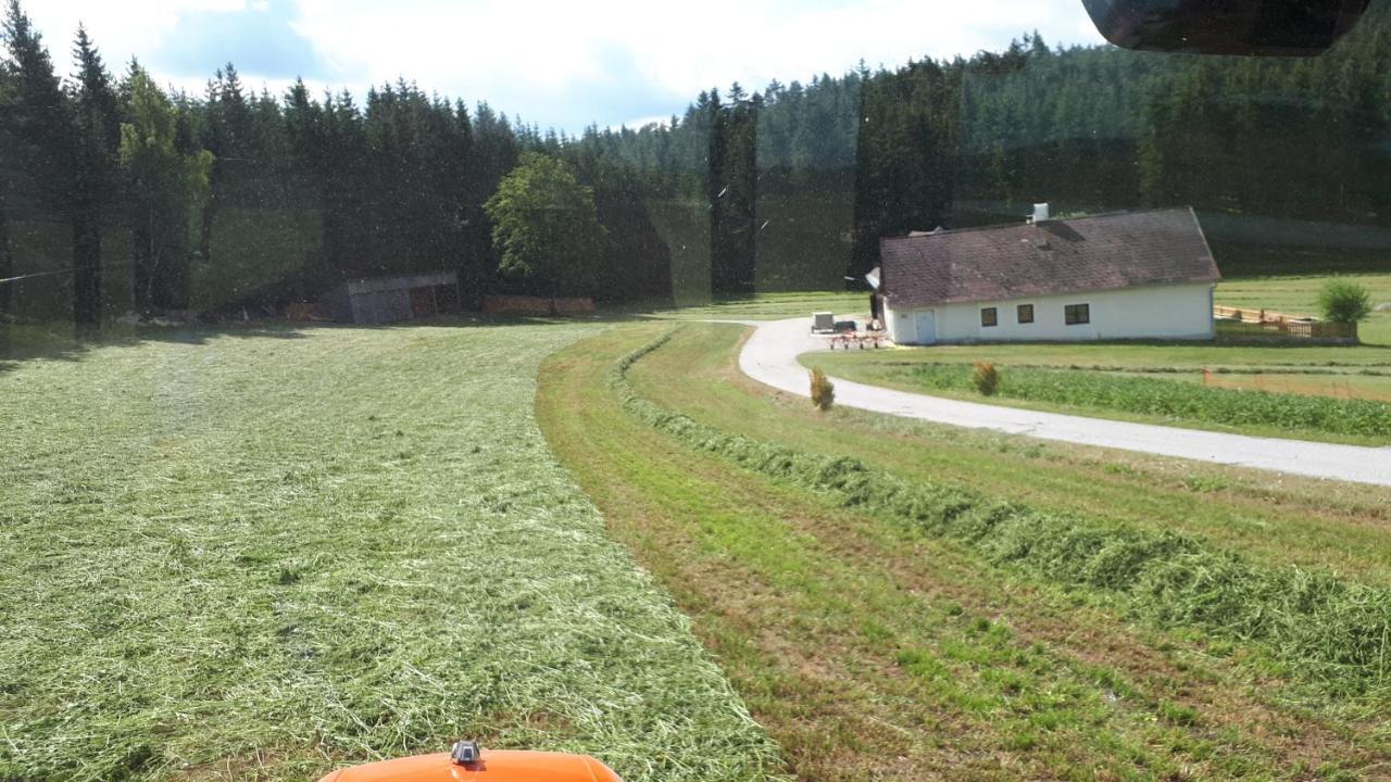 Ferienhaus Buxbaum Arbesbach Екстериор снимка